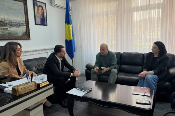 South Mitrovica in Support of Women’s Economic Empowerment